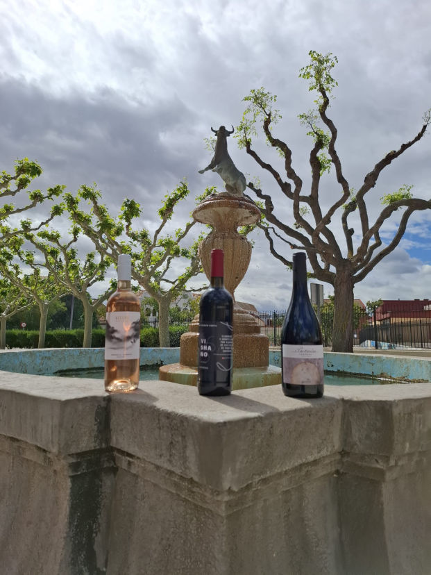 Raices de Cariñena